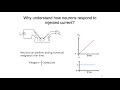 2. RC Circuit and Nernst Potential 2. RC Circuit and Nernst Potential