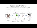 9. Receptive Fields 9. Receptive Fields