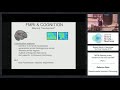 Lecture 6.4: Rebecca Saxe - MVPA: Window on the Mind via fMRI Part 2