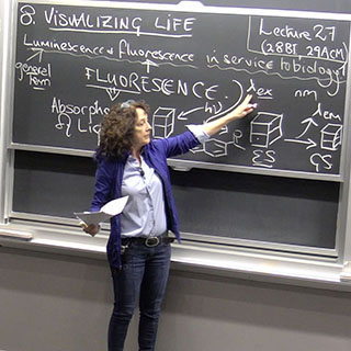 Professor Imperiali standing in front of the chalkboard Professor Imperiali standing in front of the chalkboard