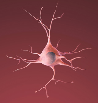 an illustration of a nerve cell, shaped like an irregular circle with tendrils shooting out on all sides like lightning bolts. an illustration of a nerve cell, shaped like an irregular circle with tendrils shooting out on all sides like lightning bolts.