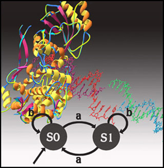 Diagram depicting DNA as a computer. Diagram depicting DNA as a computer.