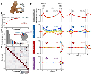 Cartoon of a monkey performing a memory task and 10 graphs depicting the data. Cartoon of a monkey performing a memory task and 10 graphs depicting the data.