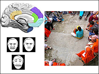 Illustration of a brain with colors indicating regions involved in social processes, plus three example faces used in social testing and a photo of a large group sitting in a circle. Illustration of a brain with colors indicating regions involved in social processes, plus three example faces used in social testing and a photo of a large group sitting in a circle.