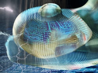 A featureless human female face overlaid with circuitry. A featureless human female face overlaid with circuitry.