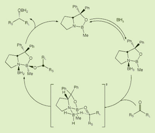 A diagram representing the oxazaborolidine-catalyzed asymmetric reduction of ketones. A diagram representing the oxazaborolidine-catalyzed asymmetric reduction of ketones.