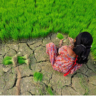 A woman sitting in an agricultural field with cracked, dry earth. A woman sitting in an agricultural field with cracked, dry earth.