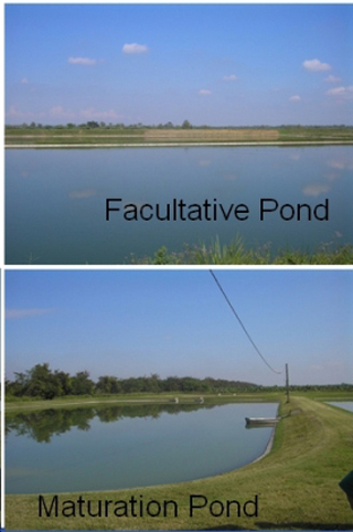 Two water treatment ponds. Two water treatment ponds.