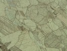 Sample MU-41 under plane polarized light.