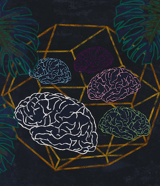 Outline illustration of brains on black background. Outline illustration of brains on black background.