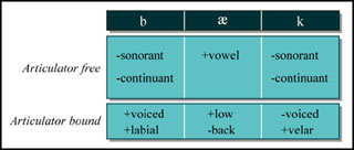 Articulator free and articulator bound elements of the English word 'back.' Articulator free and articulator bound elements of the English word 'back.'
