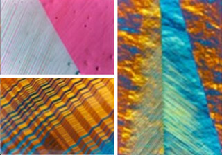 Various microstructures in a Cu-Al-Ni alloy. Various microstructures in a Cu-Al-Ni alloy.