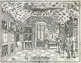 A black and white image depicting 4 men in Shakespearan garb looking at natural history objects in a museum. A black and white image depicting 4 men in Shakespearan garb looking at natural history objects in a museum.