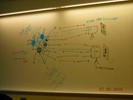 Notes on a whilteboard explain Orion models..