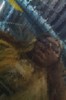 A blurry photo of a girl with glasses.
